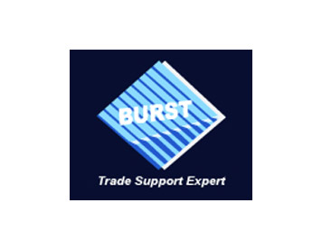 Burst Shipping Consultant Limited
